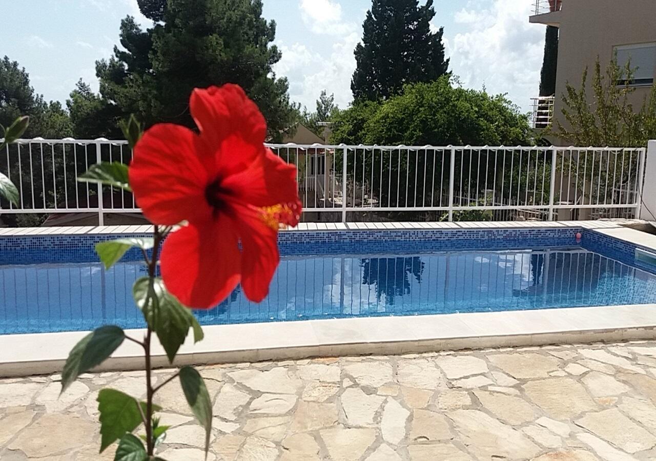 Apartment Tijana Бар Екстериор снимка